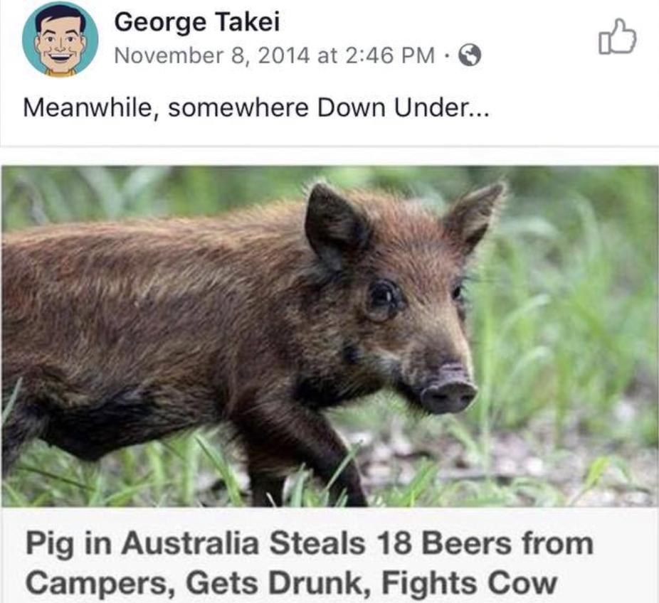 Screenshot of George Takei post with the same title as the title of this post.