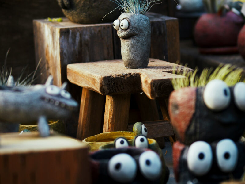 pots with googly eyes in a garden